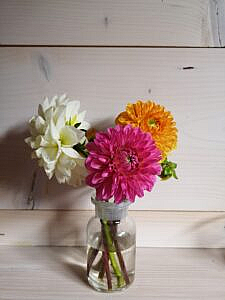 Teacher Retreat, Lehrergesundheit, Burnout-Prophylaxe, Achtsamkeits-Seminar, Lehrer-Retreat