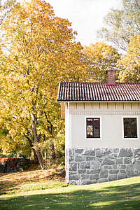 wild and free, Female Empwerment, Selbstfuersorge, Frauenpower, Achtsamkeit, authentisch leben, Frauengesundheit, Glaubenssaetze