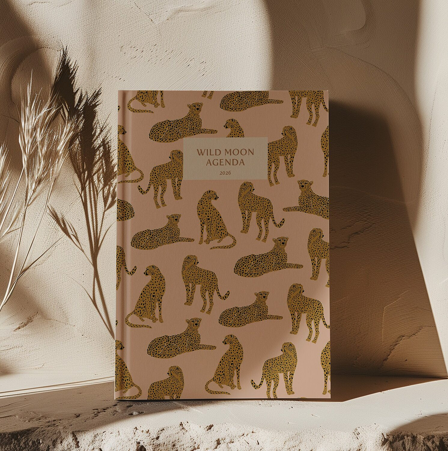 Zyklusagenda, Frauengesundheit, Menopause, Menstruationsbeschwerden