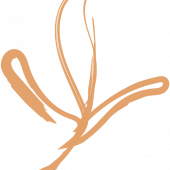 flower_graphic_orange